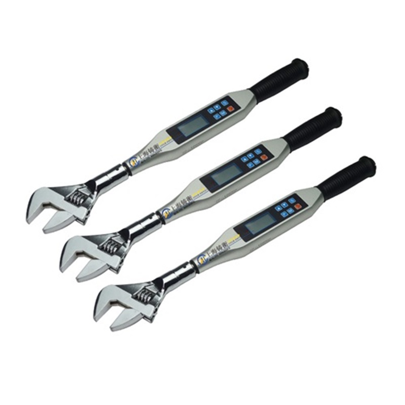 數顯式瓶蓋擰緊扭力矩檢測扳手